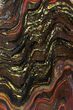 Polished Tiger Iron Stromatolite - ( Billion Years) #95894-1